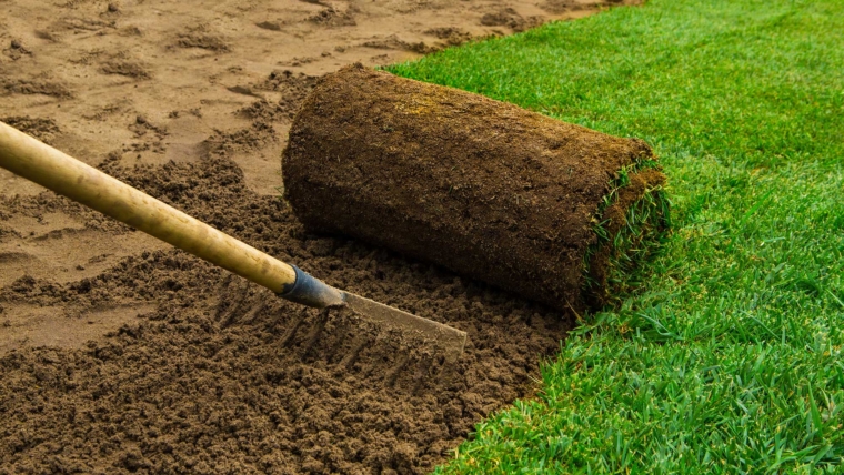 How Gardening Can Help Your Immune System